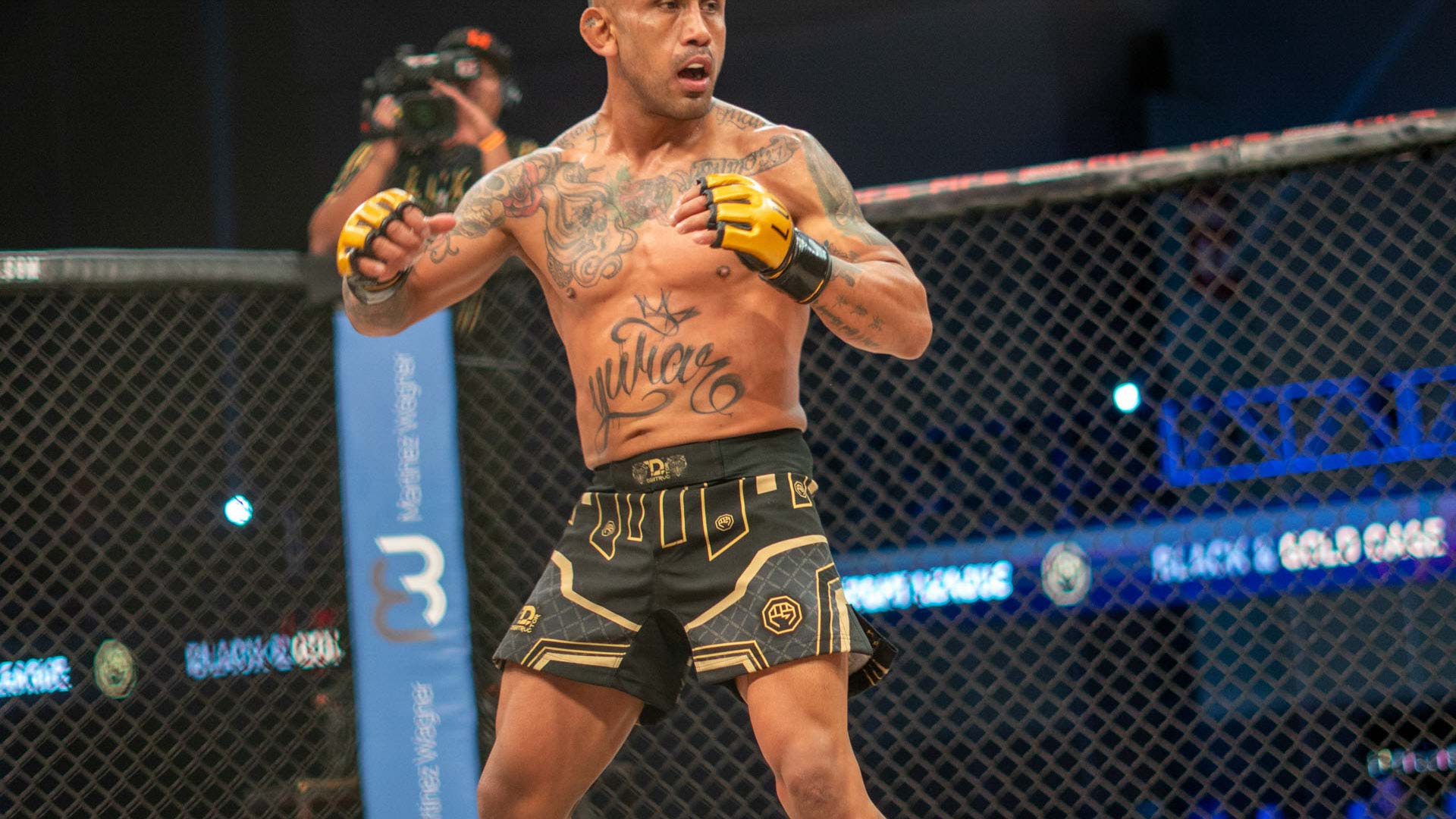 gallery